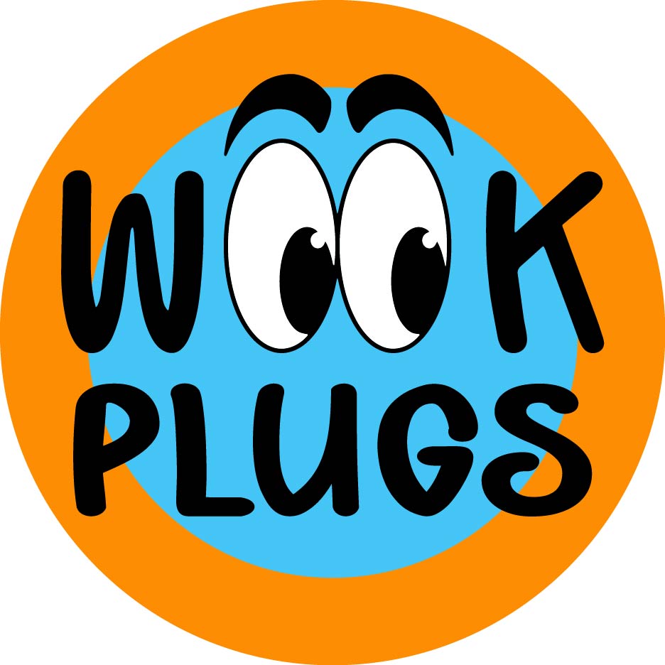 High Fidelity Earplugs