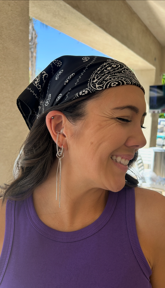 Silver Hoops