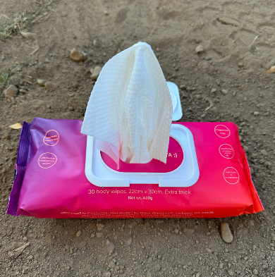 Playa Wipes