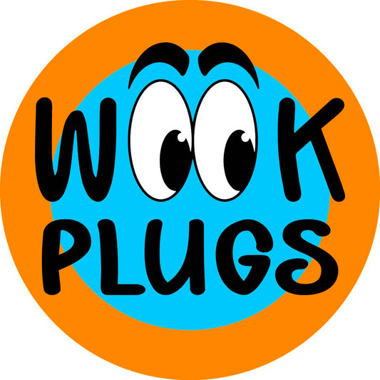 High Fidelity Earplugs